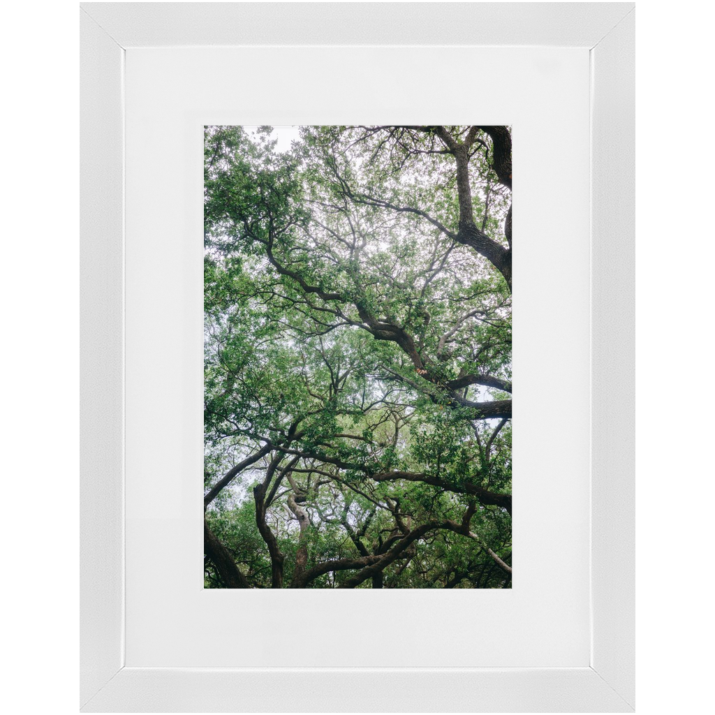 Framed_8x12_White_Lustre-20250509161208347