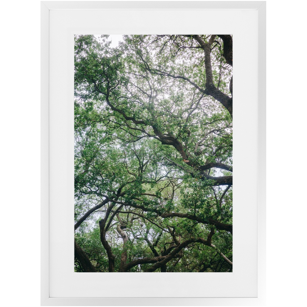 Framed-16x24-White-Mat-Satin-Contemporary-20250509161208347