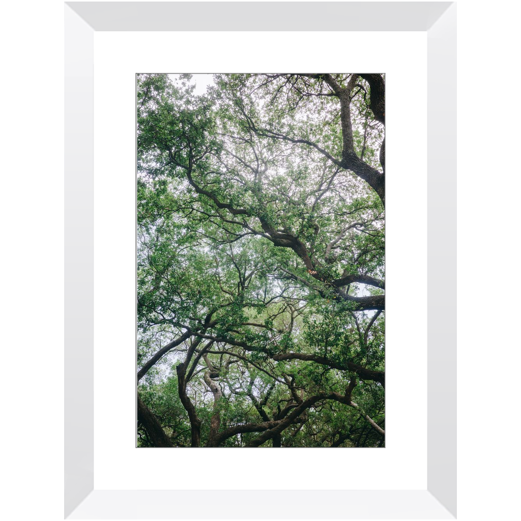 Framed_12x18_White_Lustre-20250509161208347