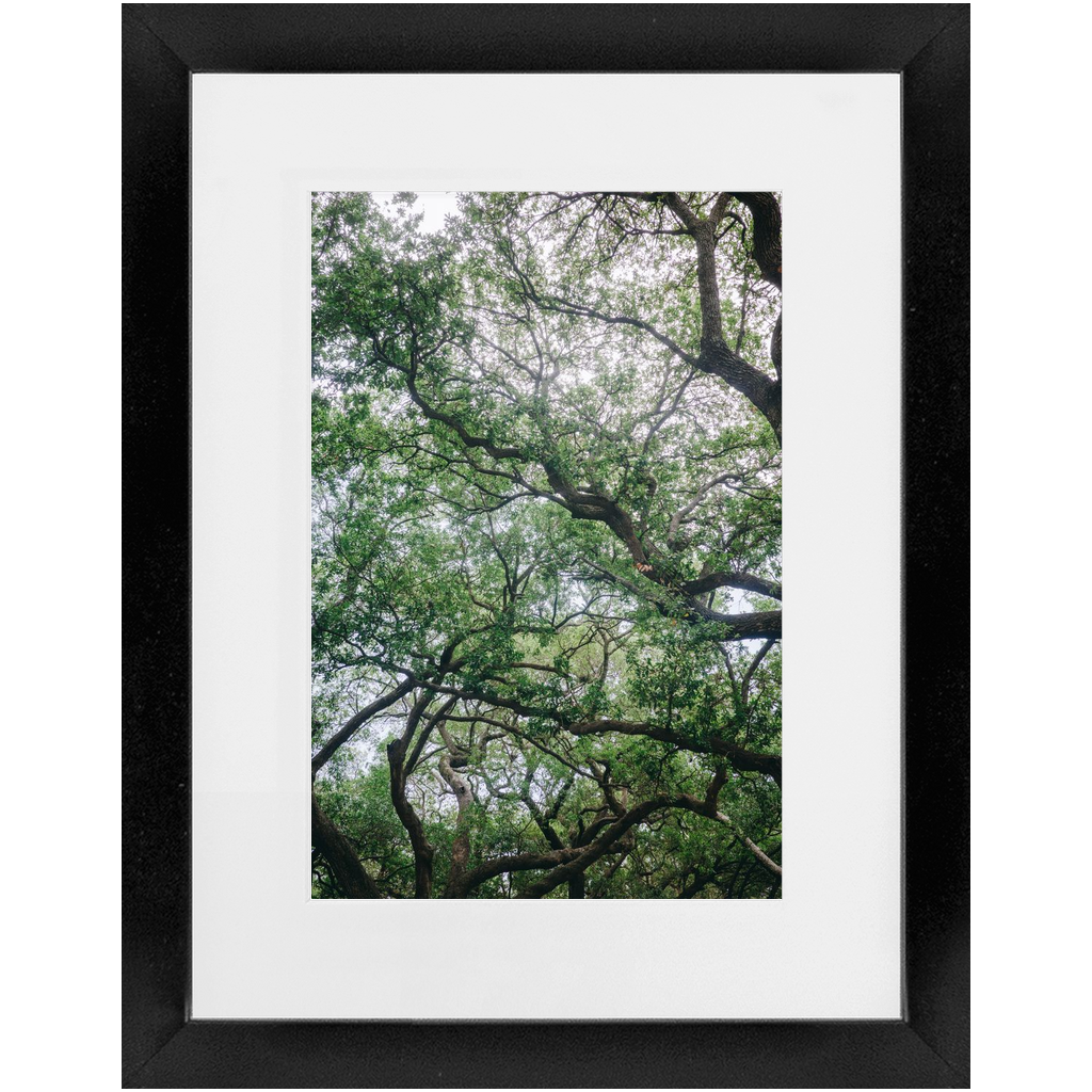 Framed_8x12_Black_Lustre-20250509161208347