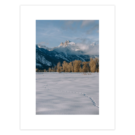 Teton Evening Cards