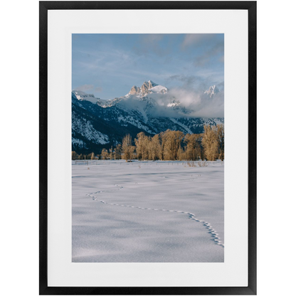 Teton Evening