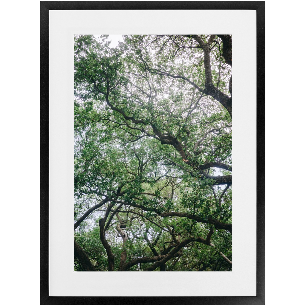 Framed-16x24-Black-Mat-Satin-Contemporary-20250509161208347