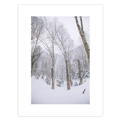 Snowy Gully Cards