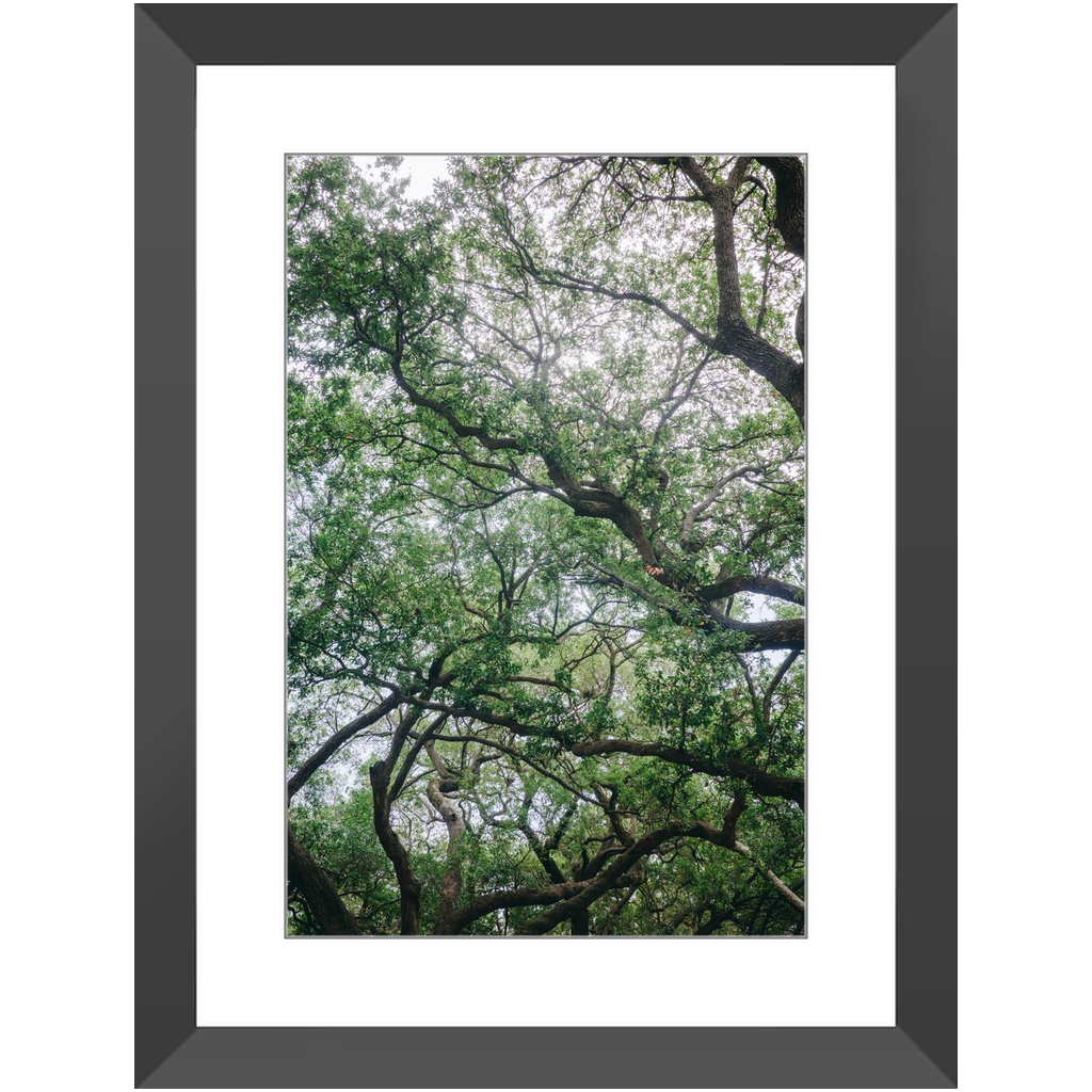 Framed_12x18_Black_Lustre-20250509161208347