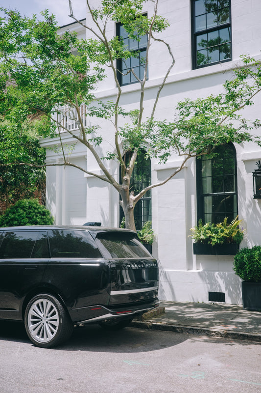 Street Parked